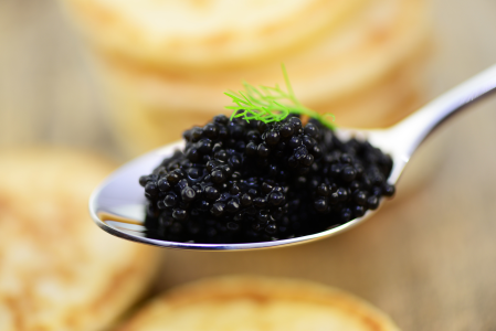 Le caviar de l’Estuaire de la Gironde