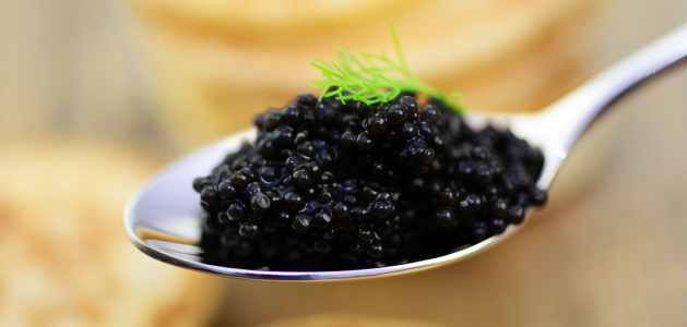 Le caviar de l’Estuaire de la Gironde