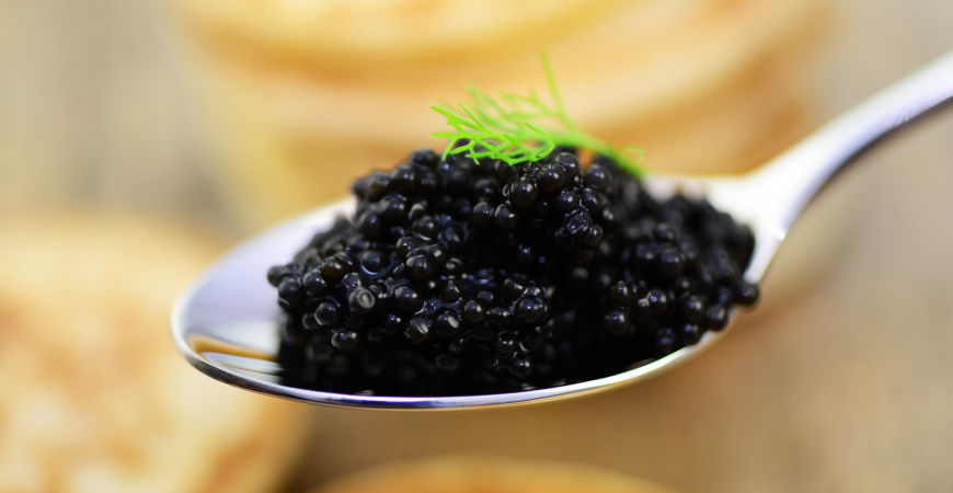 Le caviar de l’Estuaire de la Gironde