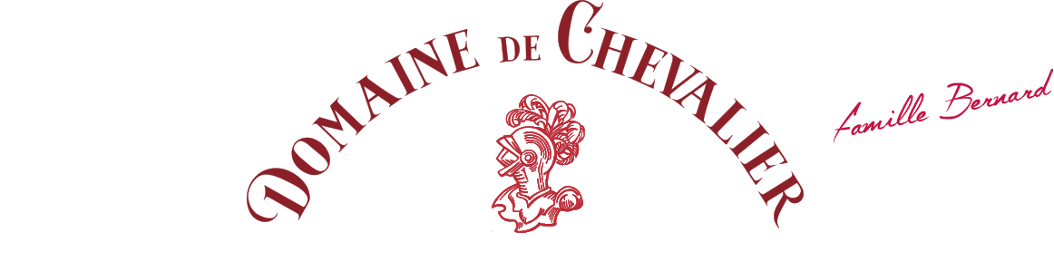 Domaine de Chevalier Grand Cru Classé de Graves 2019 Pessac