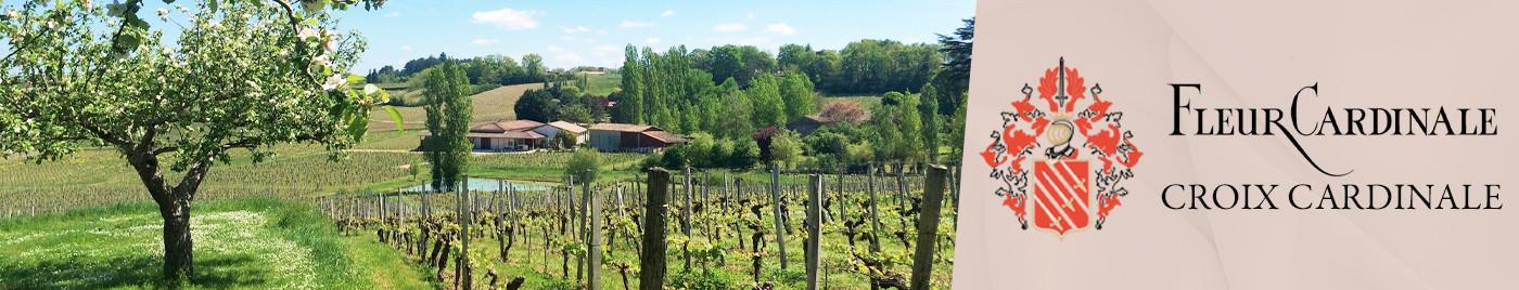 La Famille Decoster au coeur de Saint-Emilion