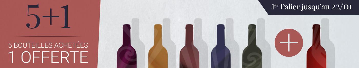 Offre Privilège 2019 : promo 5+1
