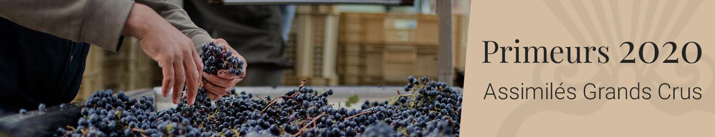 Vins de Bordeaux en Primeurs 2020 | Assimilés Grands Crus du Médoc