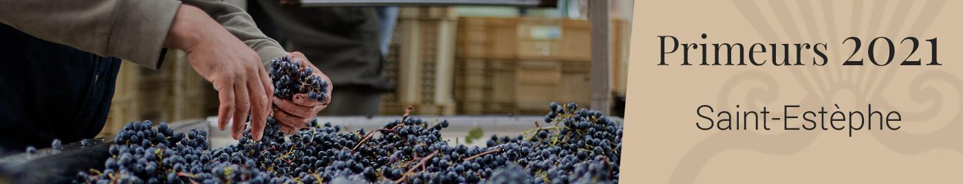 Vins de Bordeaux en Primeurs 2021 | Appellation Saint-Estèphe