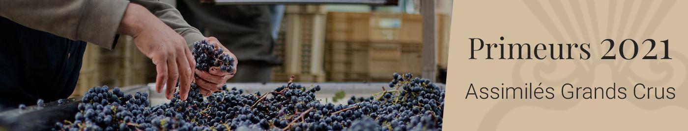 Vins de Bordeaux en Primeurs 2021 | Assimilés Grands Crus du Médoc