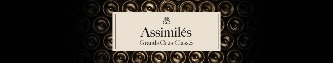 Vins de Bordeaux en Primeurs 2024 | Assimilés Grands Crus du Médoc