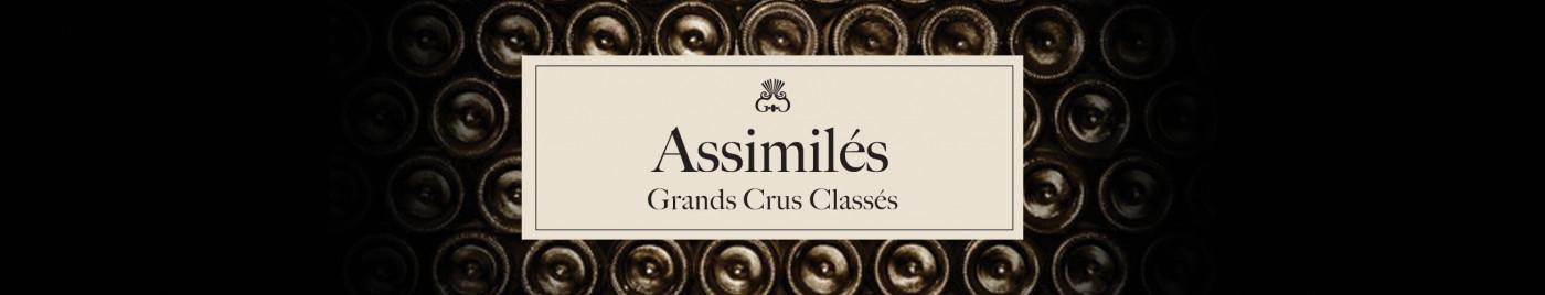 Vins de Bordeaux en Primeurs 2022 | Assimilés Grands Crus du Médoc