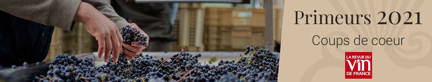 Vins de Bordeaux en Primeurs 2023 | Coups de Coeur du magazine la Revue du Vin de France
