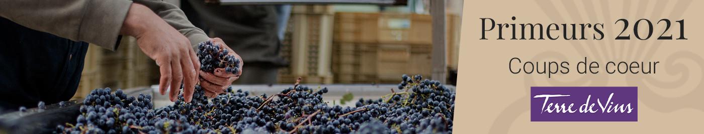 Vins de Bordeaux en Primeurs 2021 | Coups de Coeur du magazine Terre de Vins
